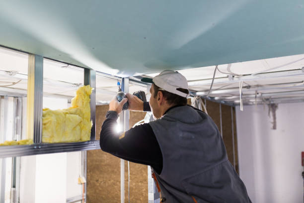 Best Insulation for Specific Applications in Shannon, MS