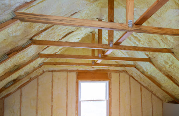 Best Cellulose Insulation in Shannon, MS