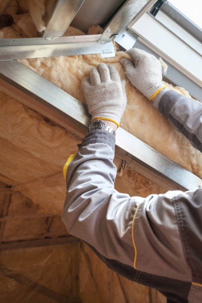 Best Spray Foam Insulation in Shannon, MS