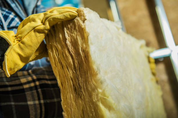 Best Insulation Maintenance and Repair in Shannon, MS