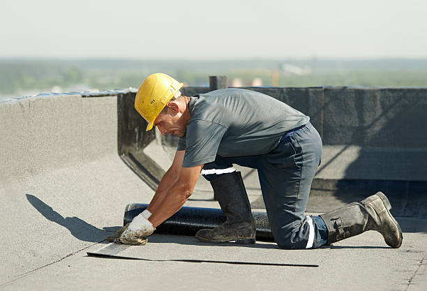 Professional Insulation Contractor in Shannon, MS
