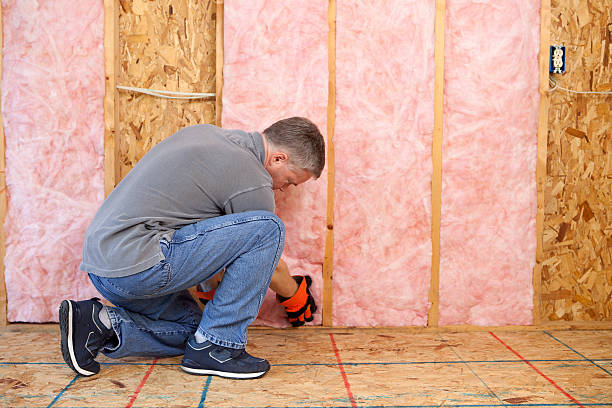 Best Insulation Maintenance and Repair in Shannon, MS
