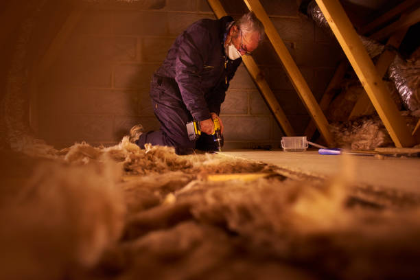 Best DIY Insulation Kits and Guidance in Shannon, MS